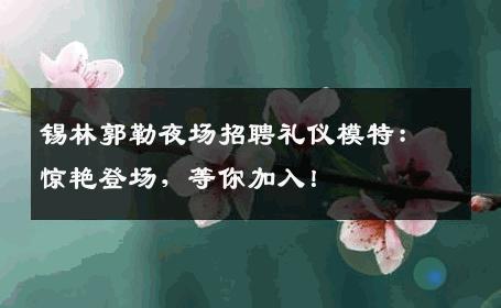 锡林郭勒夜场招聘礼仪模特：惊艳登场，等你加入！