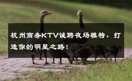 杭州商务KTV诚聘夜场模特，打造你的明星之路！