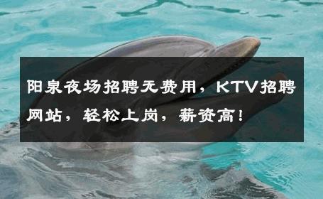 阳泉夜场招聘无费用，KTV招聘网站，轻松上岗，薪资高！