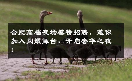 合肥高档夜场模特招聘，邀你加入闪耀舞台，开启奢华之夜！