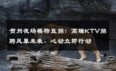 贺州夜场模特直招：高端KTV招聘风暴来袭，心动立即行动