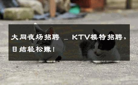 大同夜场招聘 _ KTV模特招聘，日结轻松赚！