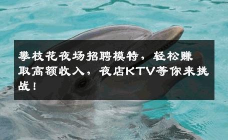攀枝花夜场招聘模特，轻松赚取高额收入，夜店KTV等你来挑战！