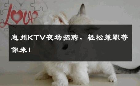 惠州KTV夜场招聘，轻松兼职等你来！
