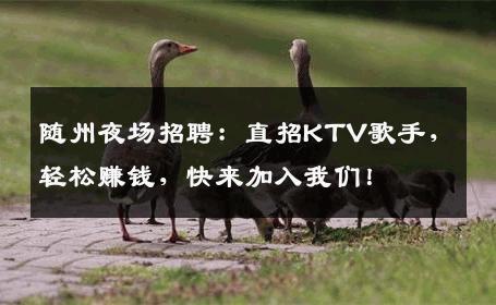 随州夜场招聘：直招KTV歌手，轻松赚钱，快来加入我们！