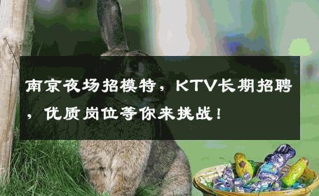 南京夜场招模特，KTV长期招聘，优质岗位等你来挑战！