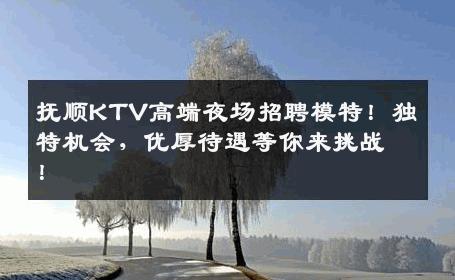 抚顺KTV高端夜场招聘模特！独特机会，优厚待遇等你来挑战！