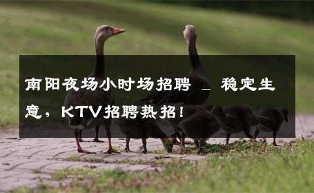 南阳夜场小时场招聘 _ 稳定生意，KTV招聘热招！
