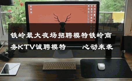 铁岭最大夜场招聘模特铁岭商务KTV诚聘模特——心动来袭