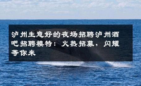 泸州生意好的夜场招聘泸州酒吧招聘模特：火热招募，闪耀等你来
