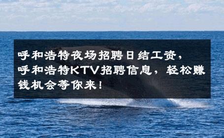 呼和浩特夜场招聘日结工资，呼和浩特KTV招聘信息，轻松赚钱机会等你来！