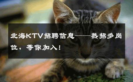 北海KTV招聘信息——热招多岗位，等你加入！