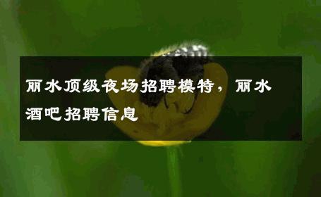 丽水顶级夜场招聘模特，丽水酒吧招聘信息