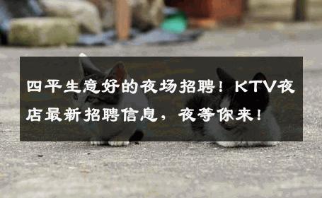 四平生意好的夜场招聘！KTV夜店最新招聘信息，夜等你来！