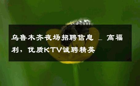 乌鲁木齐夜场招聘信息 _ 高福利，优质KTV诚聘精英