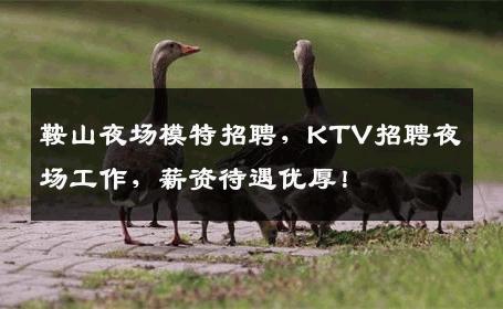 鞍山夜场模特招聘，KTV招聘夜场工作，薪资待遇优厚！