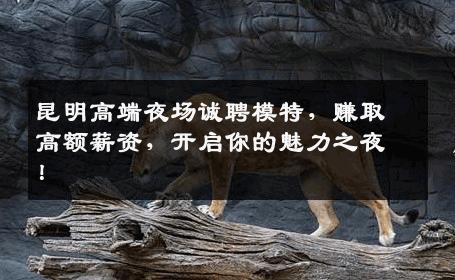 昆明高端夜场诚聘模特，赚取高额薪资，开启你的魅力之夜！