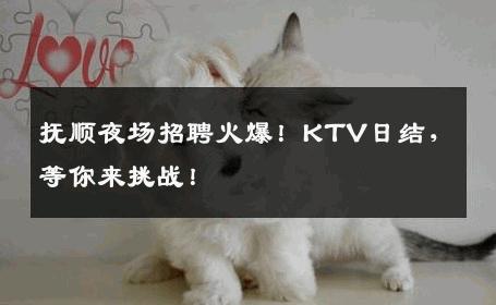 抚顺夜场招聘火爆！KTV日结，等你来挑战！