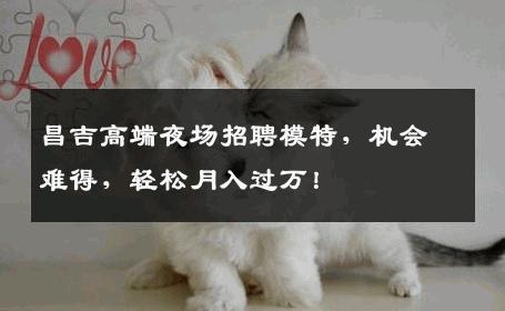 昌吉高端夜场招聘模特，机会难得，轻松月入过万！