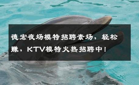 德宏夜场模特招聘素场，轻松赚，KTV模特火热招聘中！