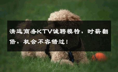 清远商务KTV诚聘模特，时薪翻倍，机会不容错过！