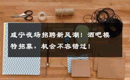 咸宁夜场招聘新风潮！酒吧模特招募，机会不容错过！