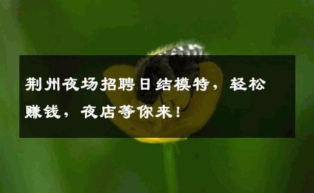 荆州夜场招聘日结模特，轻松赚钱，夜店等你来！