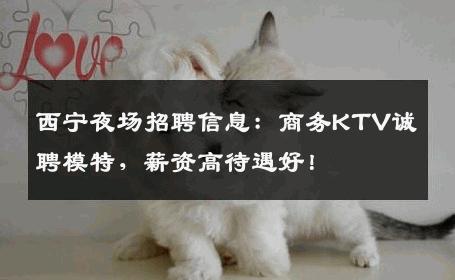 西宁夜场招聘信息：商务KTV诚聘模特，薪资高待遇好！
