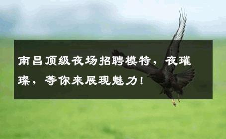 南昌顶级夜场招聘模特，夜璀璨，等你来展现魅力！