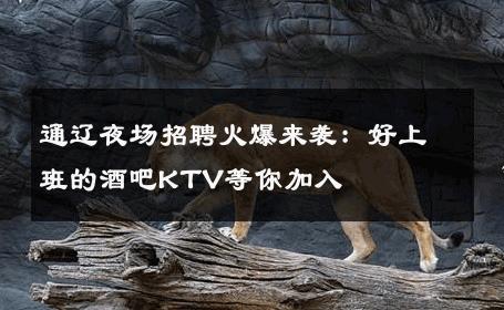 通辽夜场招聘火爆来袭：好上班的酒吧KTV等你加入