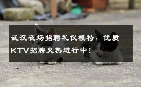 武汉夜场招聘礼仪模特，优质KTV招聘火热进行中！