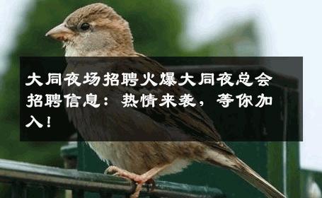 大同夜场招聘火爆大同夜总会招聘信息：热情来袭，等你加入！