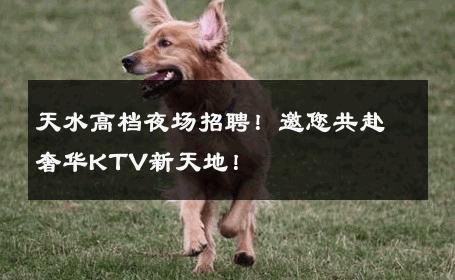 天水高档夜场招聘！邀您共赴奢华KTV新天地！
