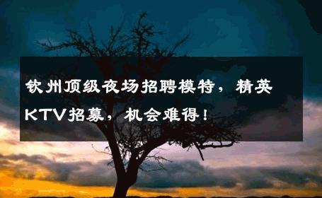 钦州顶级夜场招聘模特，精英KTV招募，机会难得！