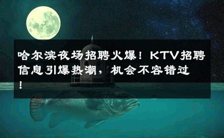 哈尔滨夜场招聘火爆！KTV招聘信息引爆热潮，机会不容错过！