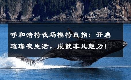 呼和浩特夜场模特直招：开启璀璨夜生活，成就非凡魅力！