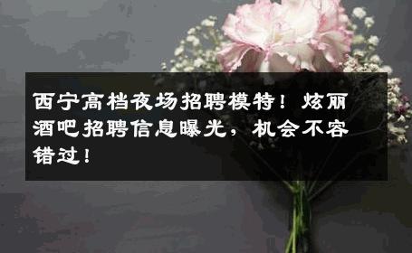 西宁高档夜场招聘模特！炫丽酒吧招聘信息曝光，机会不容错过！