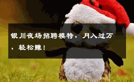 银川夜场招聘模特，月入过万，轻松赚！