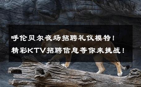 呼伦贝尔夜场招聘礼仪模特！精彩KTV招聘信息等你来挑战！