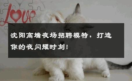 沈阳高端夜场招聘模特，打造你的夜闪耀时刻！