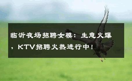 临沂夜场招聘女模：生意火爆，KTV招聘火热进行中！