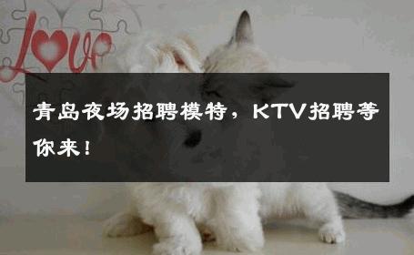 青岛夜场招聘模特，KTV招聘等你来！