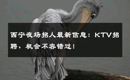 西宁夜场招人最新信息：KTV招聘，机会不容错过！