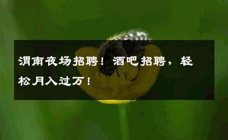 渭南夜场招聘！酒吧招聘，轻松月入过万！