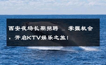 西安夜场长期招聘 _ 掌握机会，开启KTV娱乐之旅！