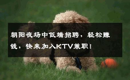朝阳夜场中低端招聘，轻松赚钱，快来加入KTV兼职！