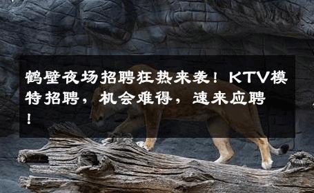 鹤壁夜场招聘狂热来袭！KTV模特招聘，机会难得，速来应聘！