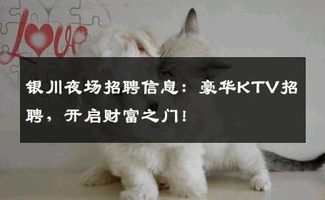 银川夜场招聘信息：豪华KTV招聘，开启财富之门！