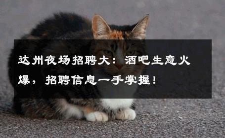 达州夜场招聘大：酒吧生意火爆，招聘信息一手掌握！