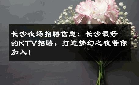 长沙夜场招聘信息：长沙最好的KTV招聘，打造梦幻之夜等你加入！